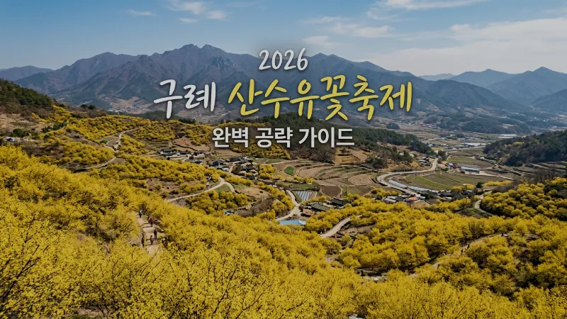 2026 구례 산수유꽃축제 주차 명당부터 숨은 포토존까지 (2026년 업데이트)