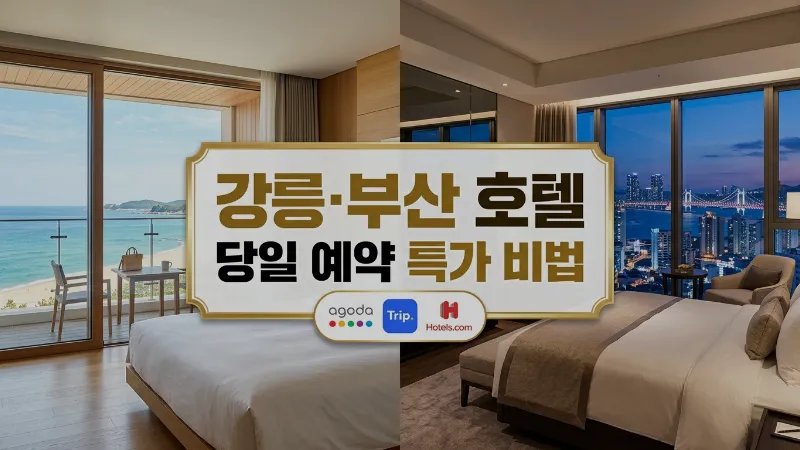 강릉·부산 호텔 당일 예약 특가 잡는 법 — 아고다·트립닷컴·호텔스닷컴 완벽 활용 가이드
