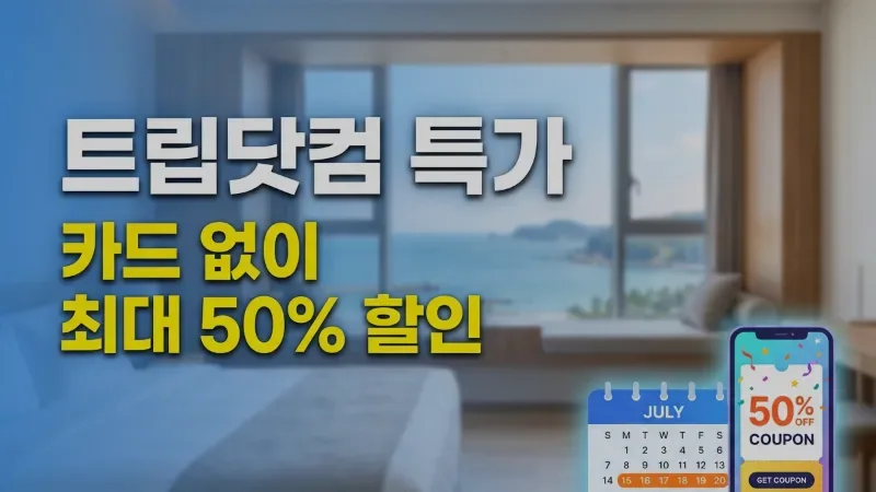 트립닷컴 국내 호텔·펜션 특가 – 카드 없이 최대 50% 할인 완전 정복